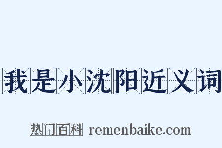 我是小沈阳近义词是什么意思的图片